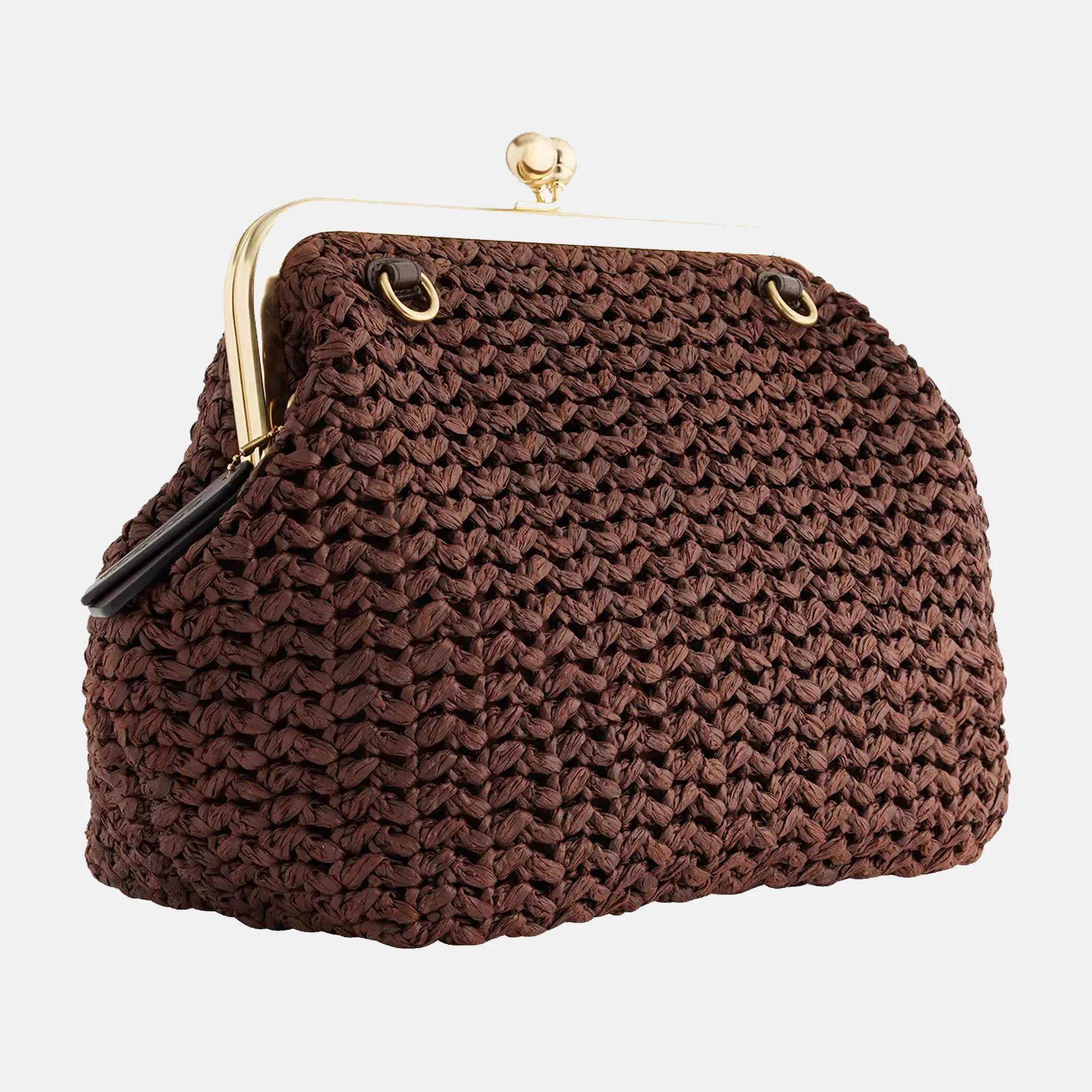 Coach Kisslock Raffia Bag Back