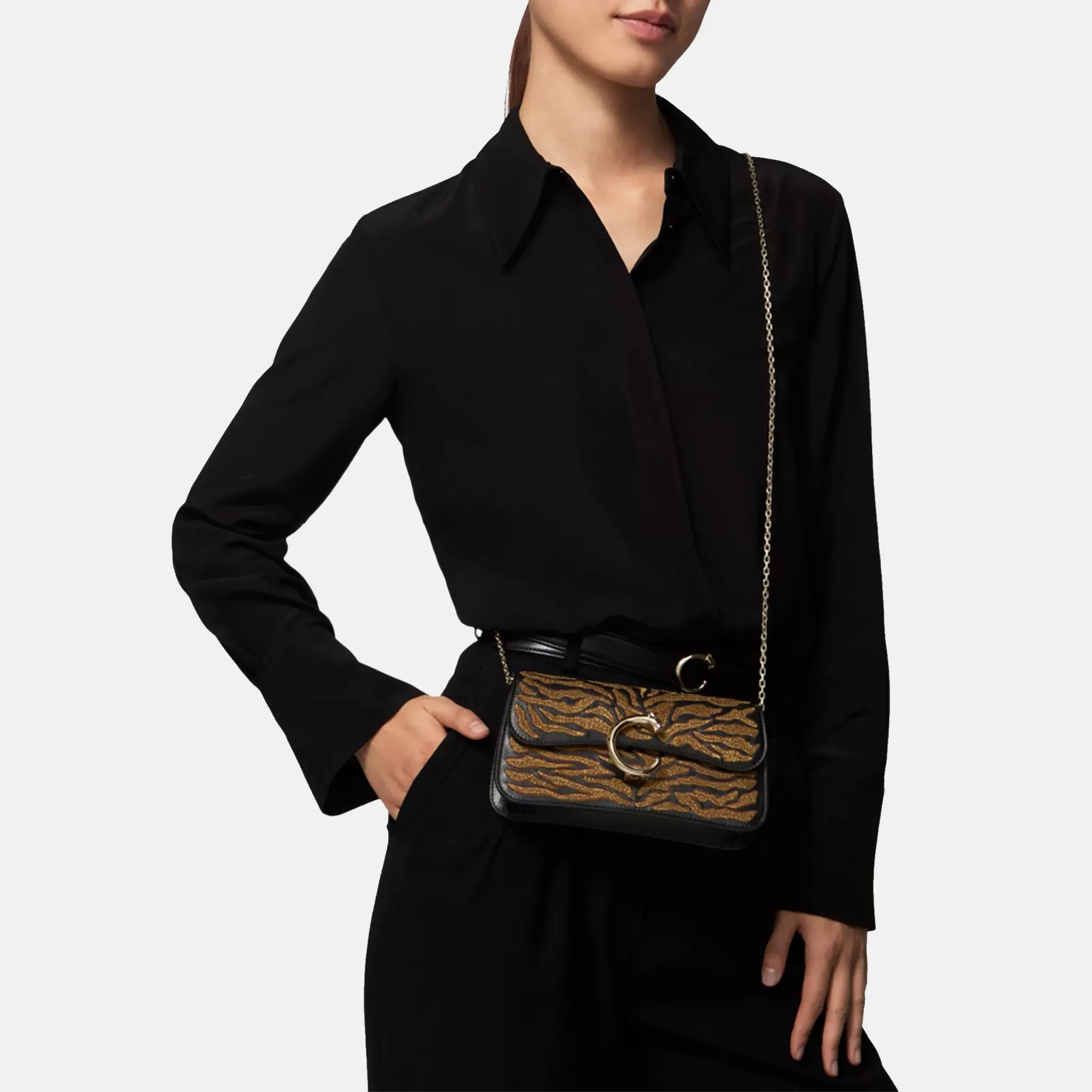 Panthere de Cartier Chain Mini Leather Body Bag